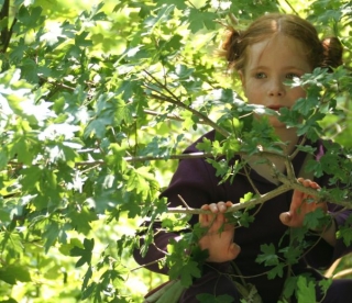  Educational hikes to discover the nature of the Ardennes 